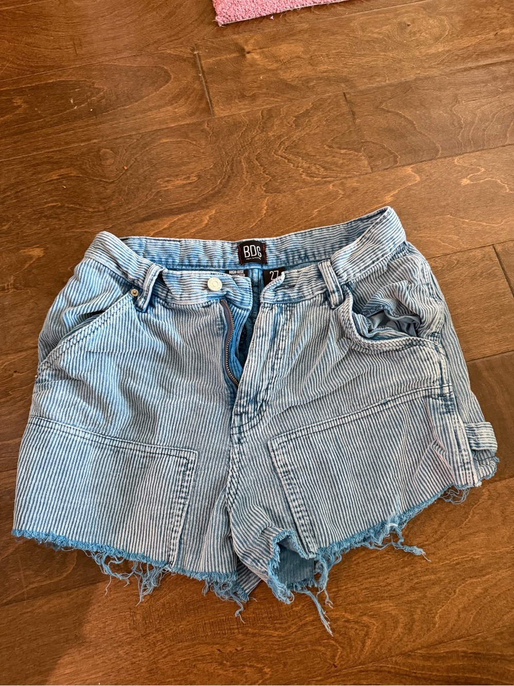 BDG Blue Pinstripe Distressed Denim Shorts